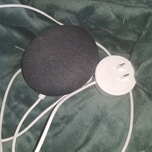 Google home mini